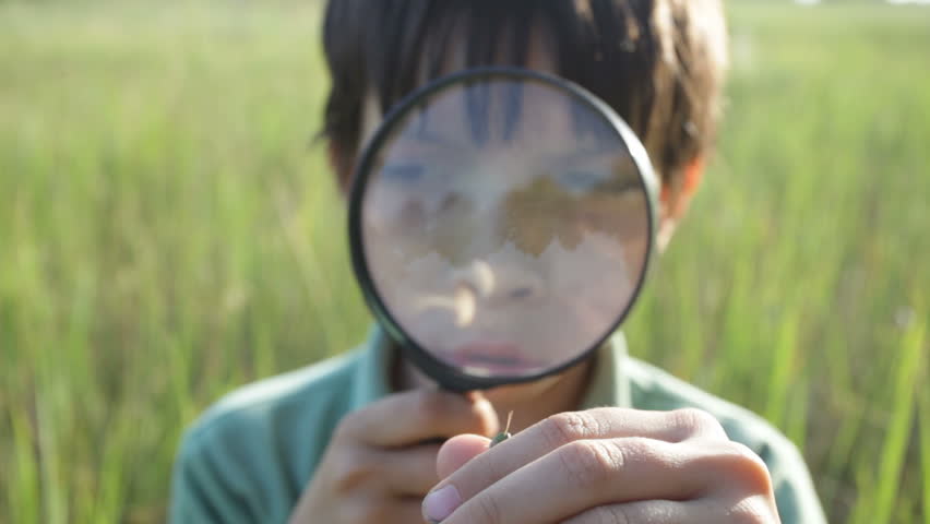 Use a magnifying glass