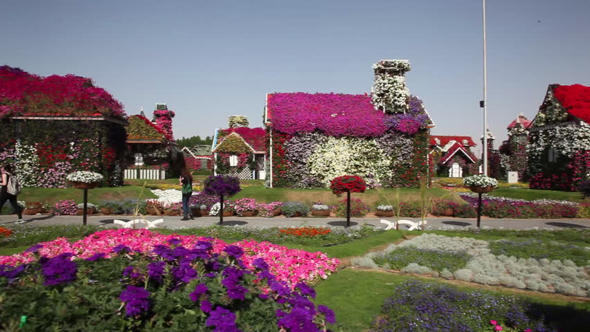 Miracle Garden