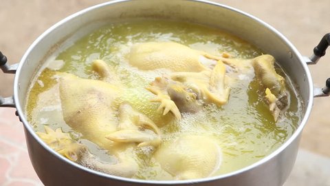 boiling chicken on pot