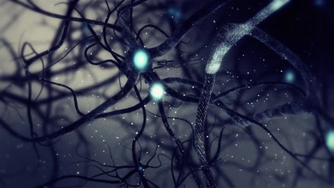 Real Neuron synapse network 3D animation. Infinite Loop inside the human brain.
