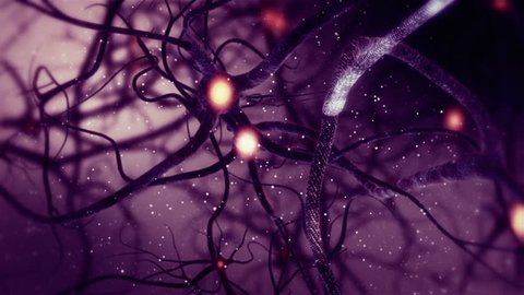 Neuronal Purple and Red Synapse Activity Zoom Real Animation inside the Human Brain