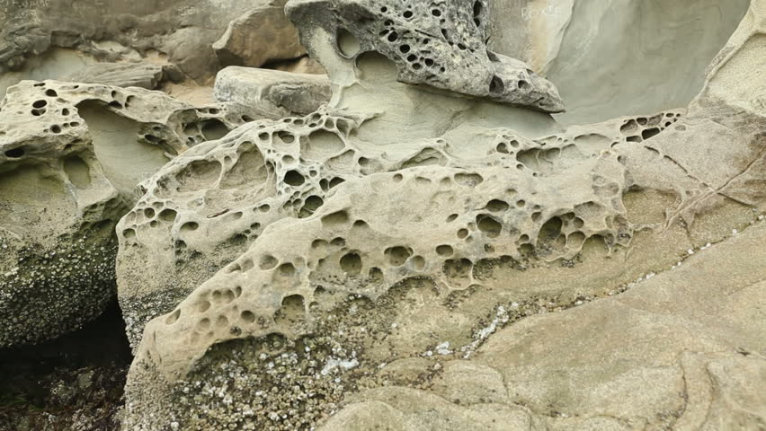 Larrabee State Park Beach Rock Formations, Washington. A dolly shot of weathered rock formations on the beach of Larrabee State Park on Puget Sound. Washington State, USA.