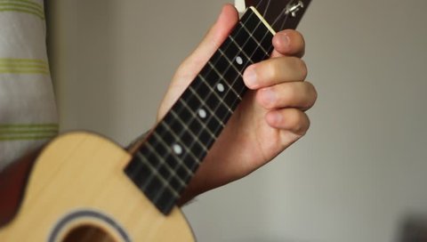 "Man is playing on ukulele. The ukulele, sometimes abbreviated to uke, is a member of the guitar family of instruments; it generally employs four nylon or gut strings or four courses of strings.