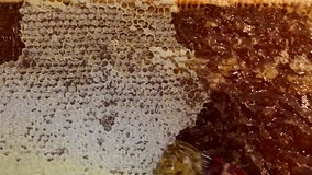 Honeycomb frame a lot of honey ; Beekeeper removes the wax with a spatula the honeycomb which is full of honey,video clip