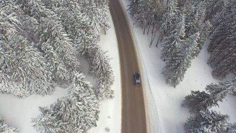 AERIAL: Car driving through snowy pine forest in winter