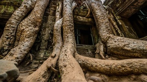 Prohm Temple Ruins, Angkor complex, Siem Reap, Cambodia