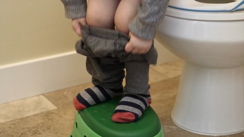 A toddler being potty trained uses the toilet