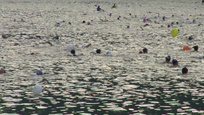 A swim race