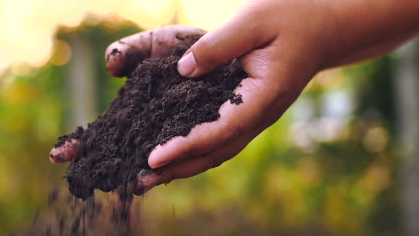Soil, Agriculture, Sunlight,Slow motion, Farmer hands holding and pouring back organic soil on sunrise light | Shutterstock HD Video #8946022