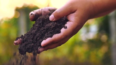 Soil, Agriculture, Sunlight,Slow motion, Farmer hands holding and pouring back organic soil on sunrise light – Video có sẵn