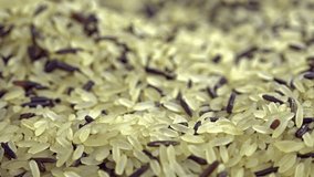 Raw mixed Rice (not loopable)
