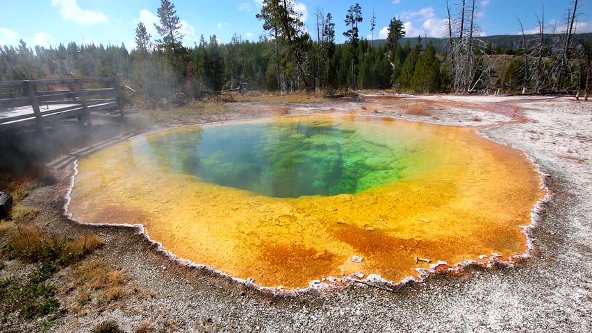 Morning Glory Pool in Yellowstone National Park of Wyoming 