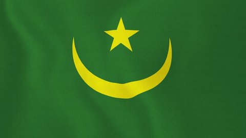 Форма флага мавритании. Флаг Мавритании. Флаг Mauritania. Исламская Республика Мавритания флаг. Флаг Мавритании 2022.