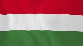 [loopable] Flag of Hungary. Magyar official flag gently waving in the wind. Highly detailed fabric texture for 4K resolution. 15 seconds loop. Source: CGI rendering. Clip ID: ax672c