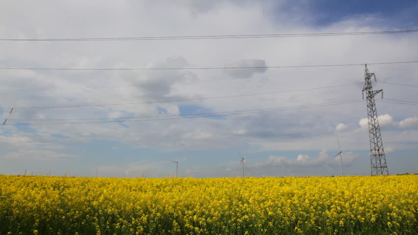 Alternative energy on yellow flower field