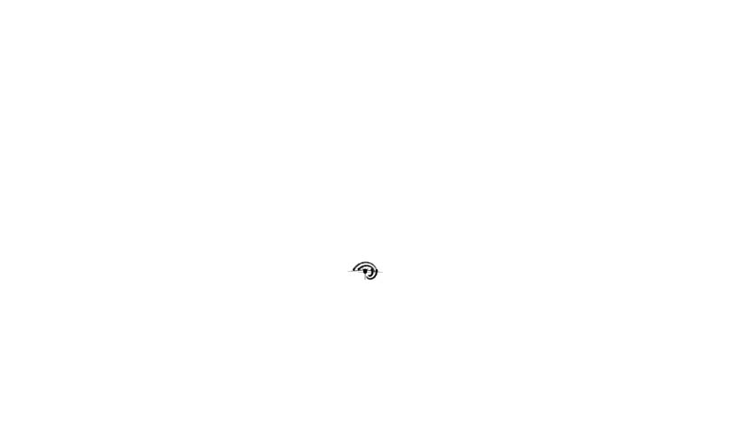 Black aircraft and smoke