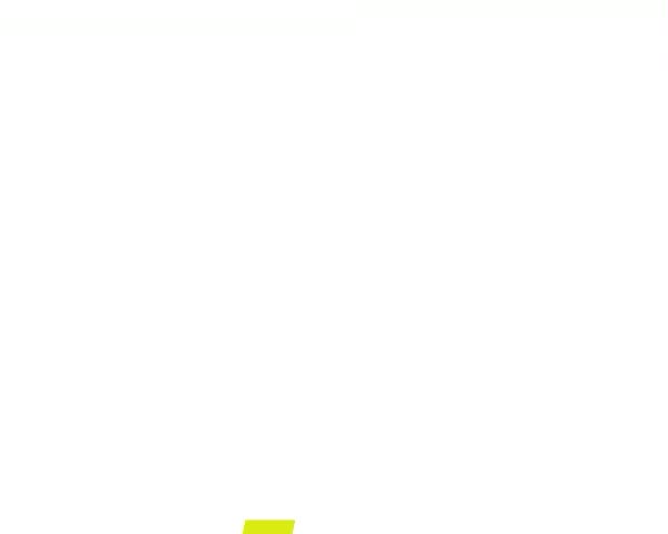 colorful flower background