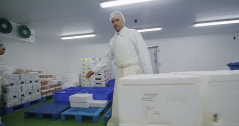 4K Workers packing boxes of fresh fish in a seafood processing factory