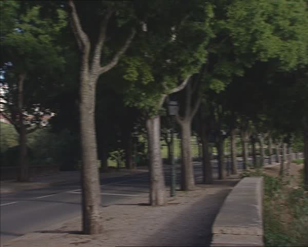 LISBON, PORTUGAL avenue of trees in city + pan city park with suburb skyline in background