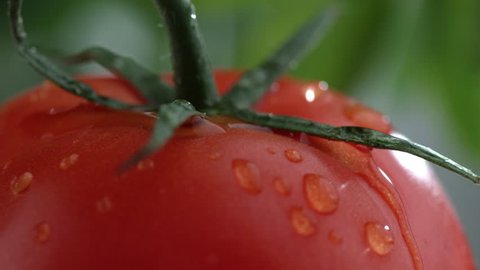 Extreme close-up of water drip on tomato in slow motion; shot on Phantom Flex 4K at 1000 fps स्टॉक व्हिडिओ