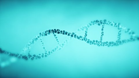 Dna Molecule Helix Loop Animation Rotating Stock Footage Video (100% ...