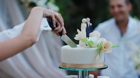Bride and groom cut wedding cake with funny decoration