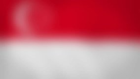 SG - internet domain of Singapore. Typing top-level domain “.SG” against blurred waving national flag of Singapore. Highly detailed fabric texture for 4K resolution. Clip ID: ax1027c