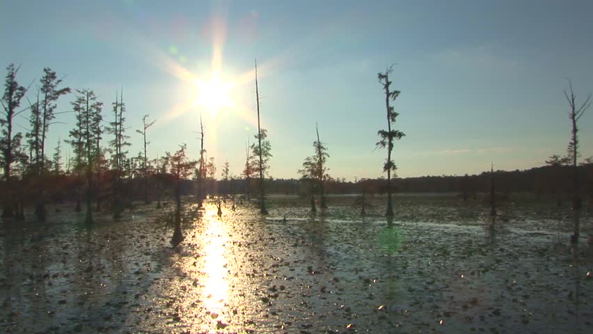 Low Sun In Louisiana Bayou
The sun hangs low in the Louisiana bayou.