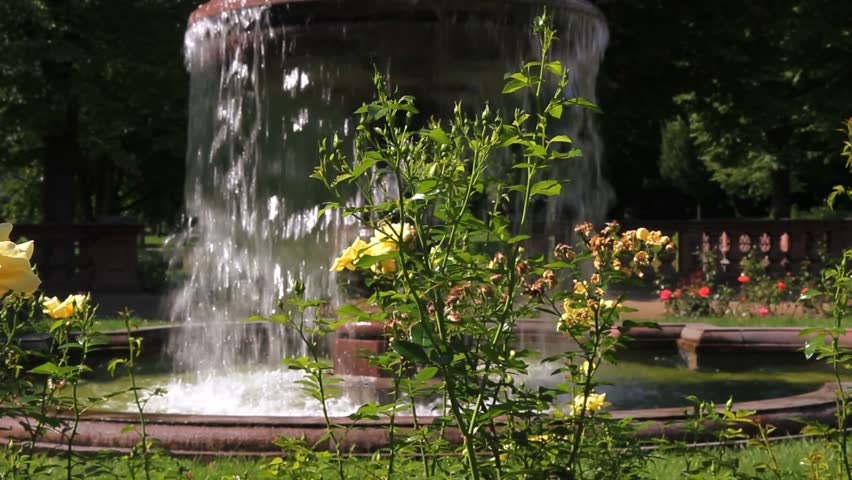 Yellow flowers in park with fountain in background - slide
