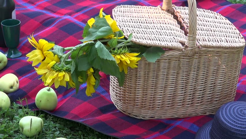 Picnic Basket on green park grass on  sunny day | Shutterstock HD Video #9016981