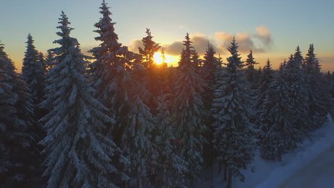 AERIAL: Flying over frozen forest in winter at sunset