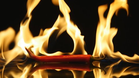 Burning hot Chili pepper with flame on black mirror background