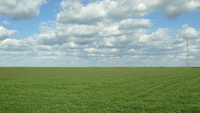 Wheat field in spring with beautiful sky and clouds, 4K video,  3840 x 2160 ultra high defintion, Ultra HD
