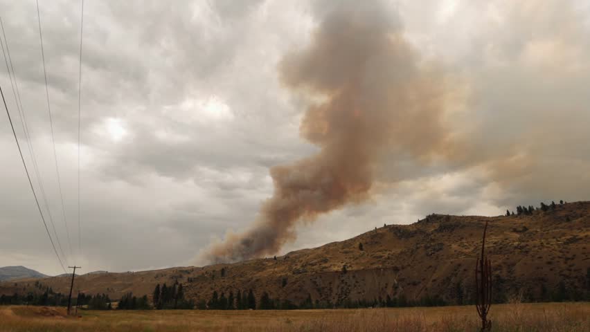 Thick clouds of smoke billow into the air from a forest fire, atop a grass hill in Washington state.