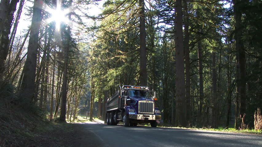 Грузовики лес. Самосвал в лесу. Грузовой автомобиль лес. Pacific Northwest Road. Road in the Forest Truck.