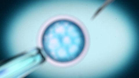 An animated clip showing a cell being pierced and injected using a needle.  The clip contains focus pulls and particles floating within the scene.