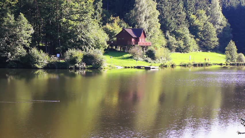 Dammed lake with swimming duck
