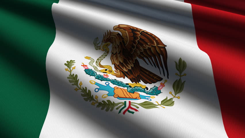 Mexican Close up waving flag - HD loop 
