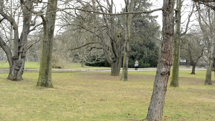 autumn park - cloudy 