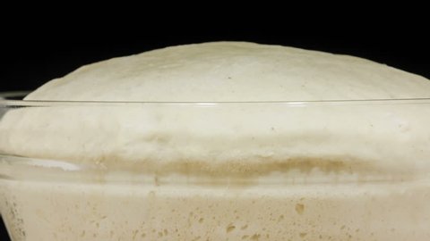 HD 1080p timelapse video of a bowl of dough growing in the oven/dough rising timelapse
