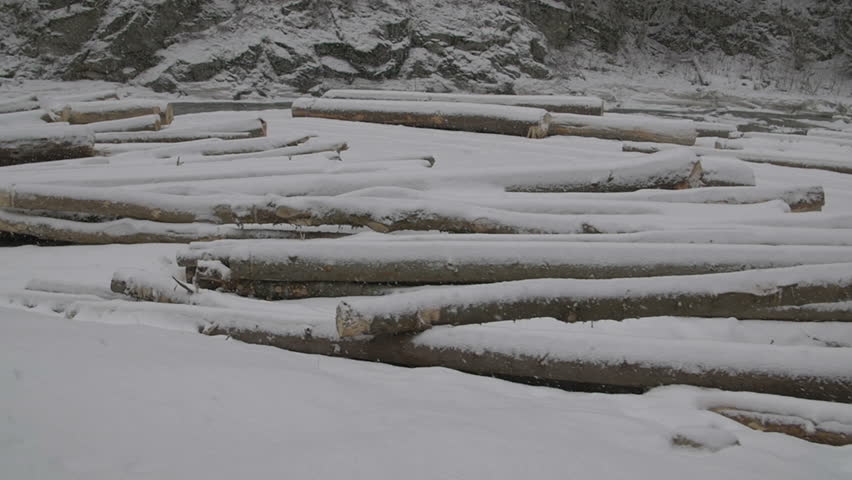 Lot of firewood, wood logs, winter supplies, cut tree trunk in winter scene - slow motion