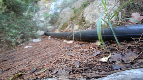 Plastic pipe on the earth's surface