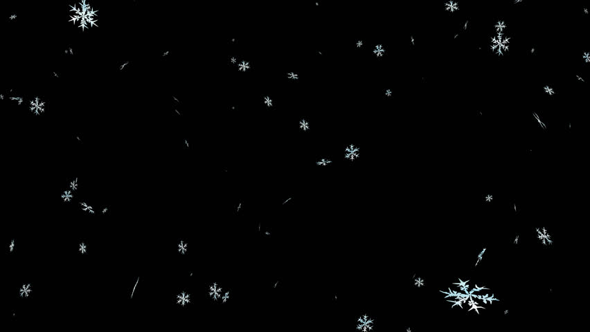 Animated detailed snow flakes on transparent background. Each flake has slight blue and white texture. (Alpha channel embedded with HD PNG file) Royalty-Free Stock Footage #9136004