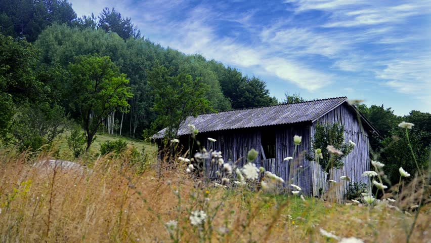 old western shed, barn in mountain meadow, stock video