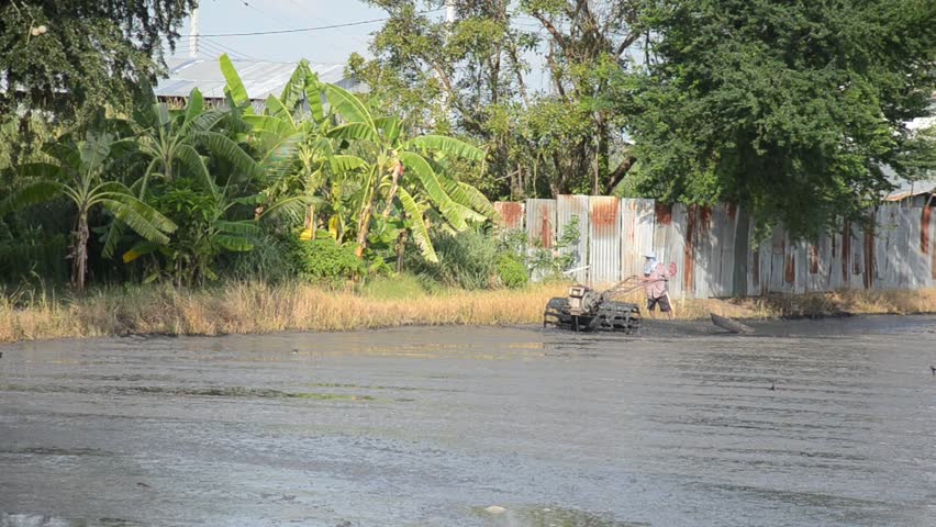 Farmer uses tractor and trailer on paddy field