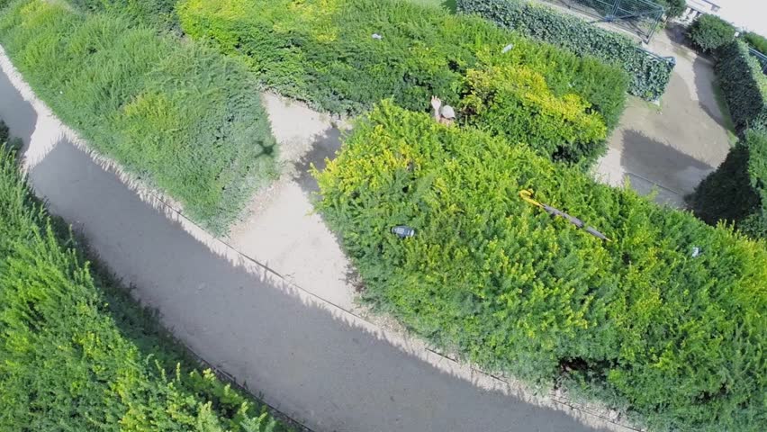 Family walk by bush maze on square Place du Carrousel at autumn sunny day. Aerial view