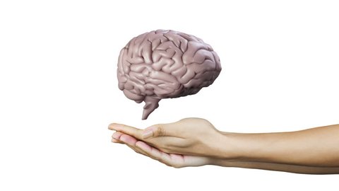 Digital animation of Hand presenting a spinning brain
