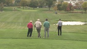 Golfers Observe Fairway