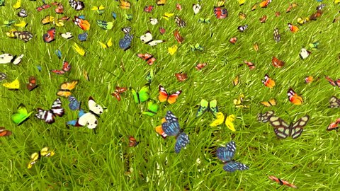 Spring Butterfly : 3D animation