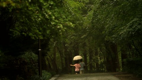 Young couple walking together at forest park on a rainy day